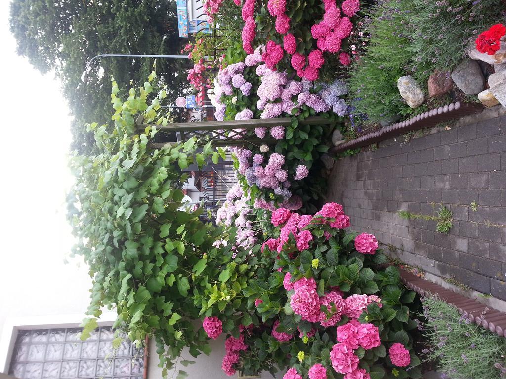 Szafranowka Apartment Władysławowo Екстериор снимка